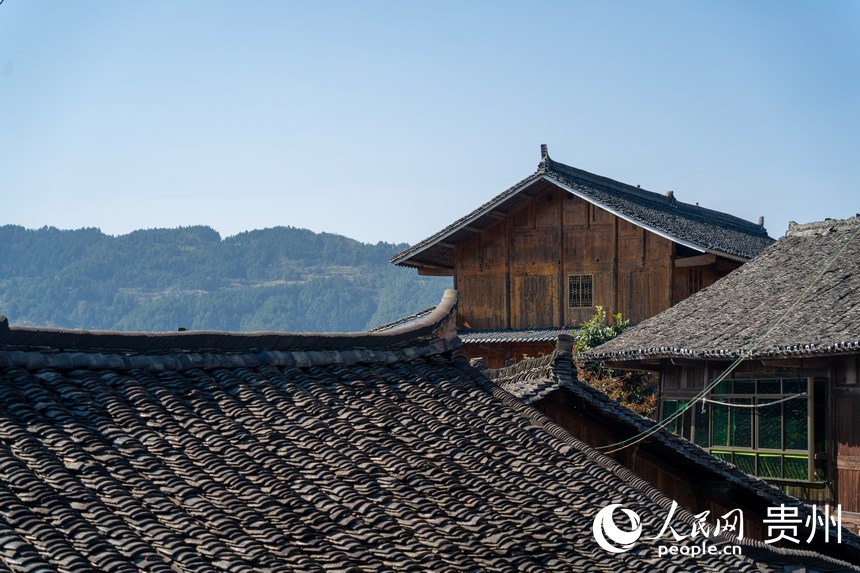 龍塘村的木質小黑瓦民居。人民網 涂敏攝