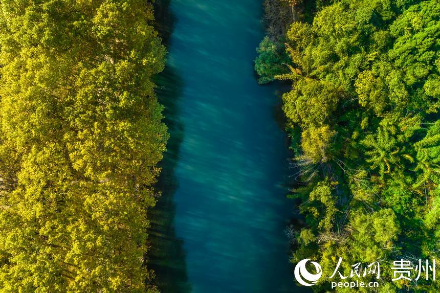 黃金大道一隅。人民網 陽茜攝