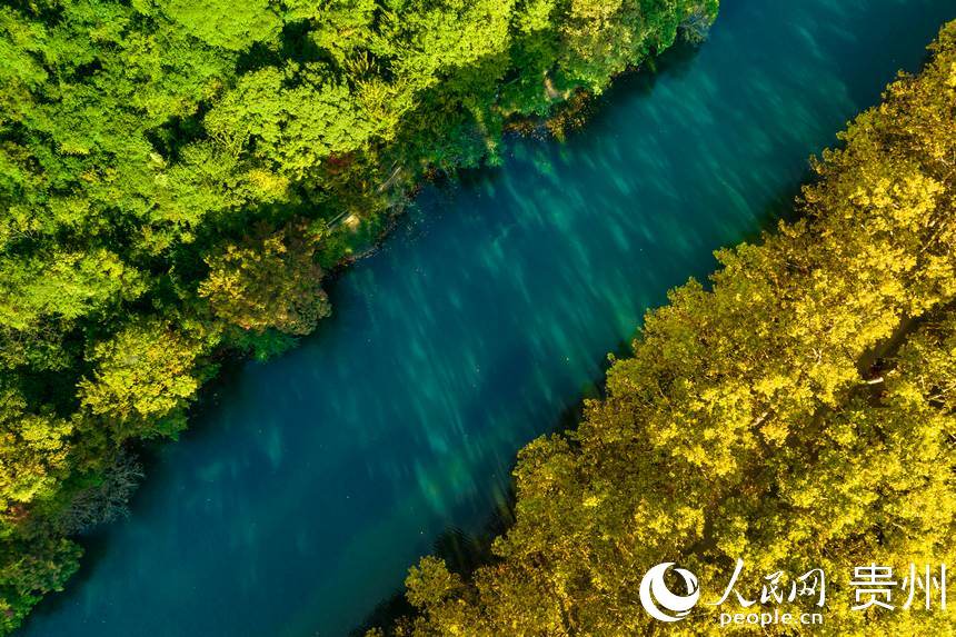 黃金大道猶如天然的調色盤。人民網 陽茜攝