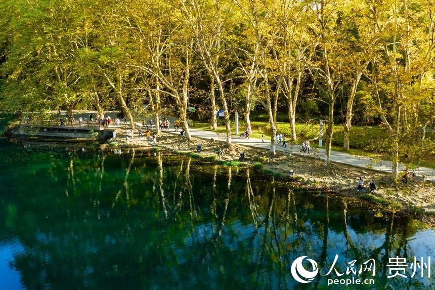 陽光穿過樹枝照射在每位游客的身上。人民網 陽茜攝