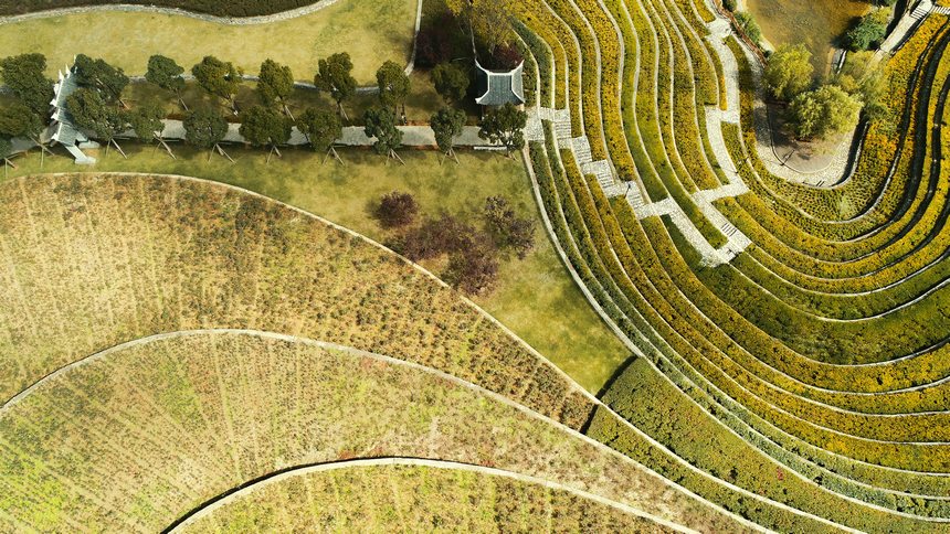 11月1日，大方縣奢香古鎮(zhèn)梯田航拍。周訓(xùn)貴攝