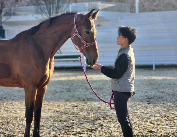 貴陽國際馬術運動中心內的專業競技馬。中國鐵建地產貴州公司供圖