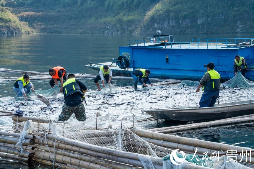起捕儀式現場。人民網記者 涂敏攝