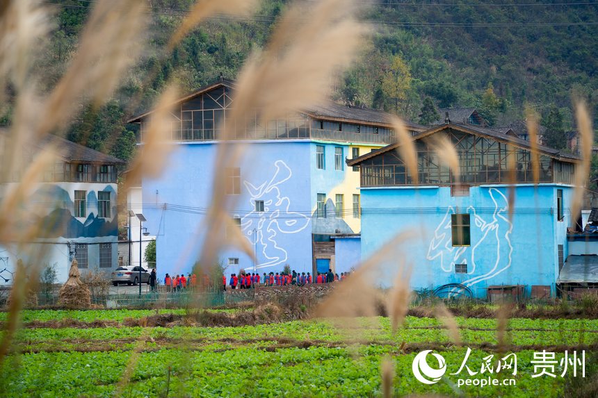 前來研學的學生在村內參觀。人民網記者 涂敏攝