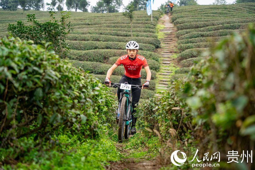 騎行在茶園小徑中的運(yùn)動(dòng)員。人民網(wǎng)記者 涂敏攝