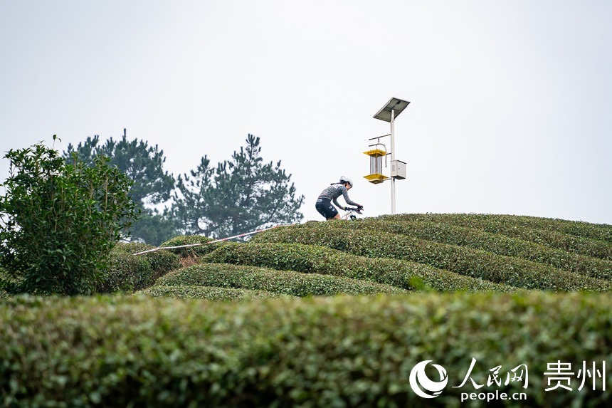 比賽現場。人民網記者 涂敏攝