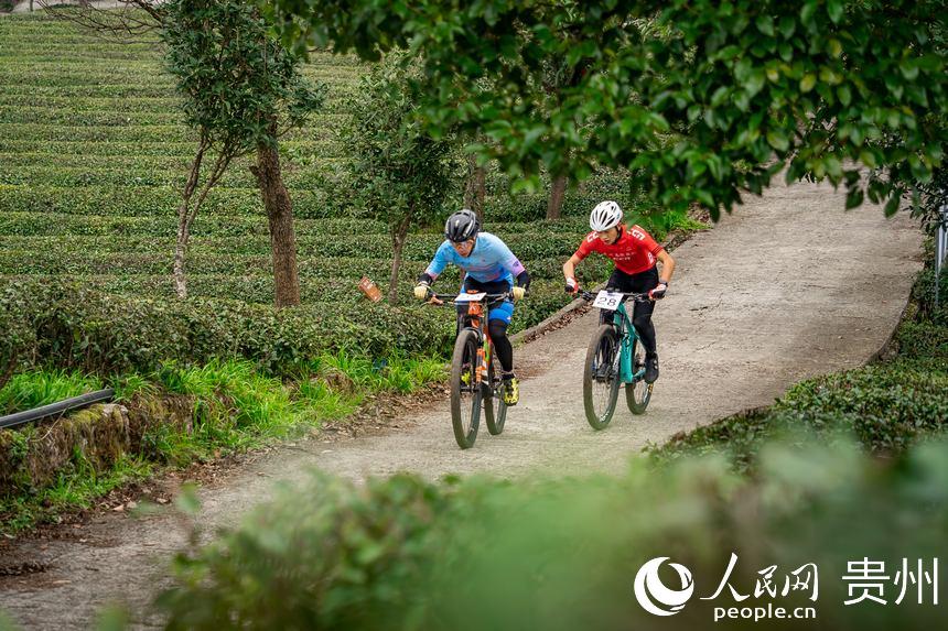 比賽現場。人民網記者 涂敏攝