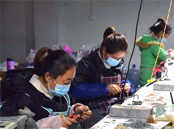 貴州納雍：村里建起加工廠 家門口就業增收_副本