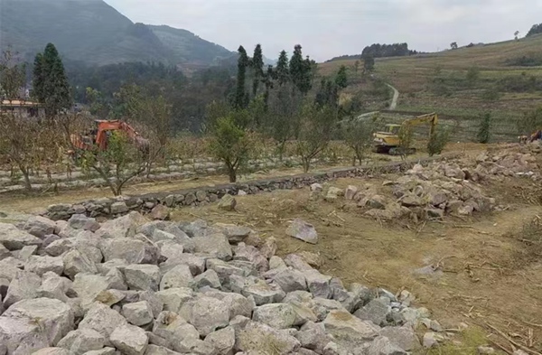 桐梓縣九壩鎮推進高標準農田建設。貴州省農業農村廳供圖