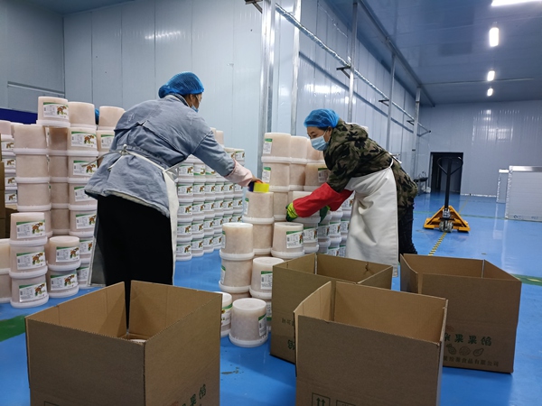 工人將成品果餡裝箱。