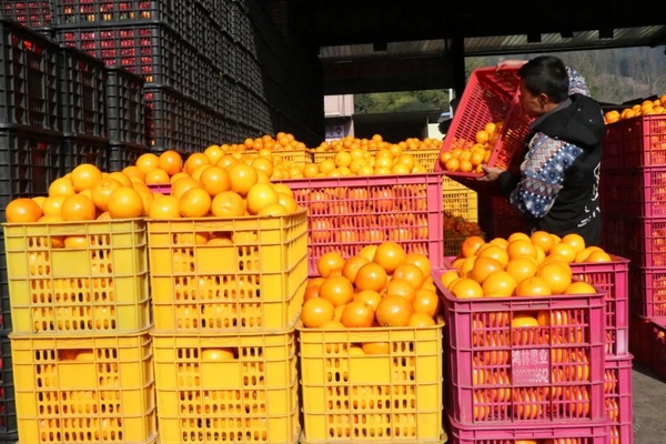 春節(jié)期間畢節(jié)市物資供應(yīng)充足。