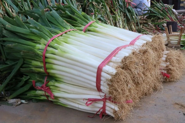 春節期間畢節市物資供應充足。