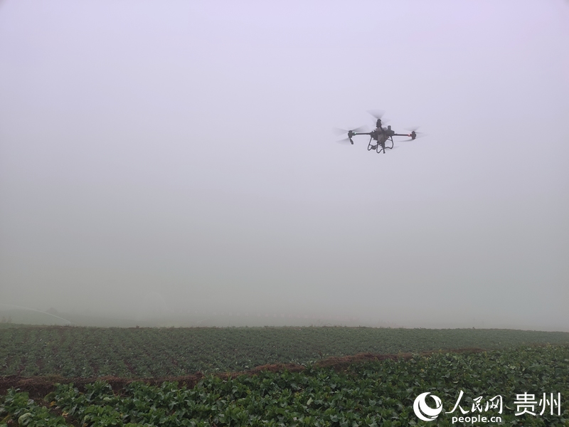 植保無人機噴灑作業演示。人民網 李麗萍攝