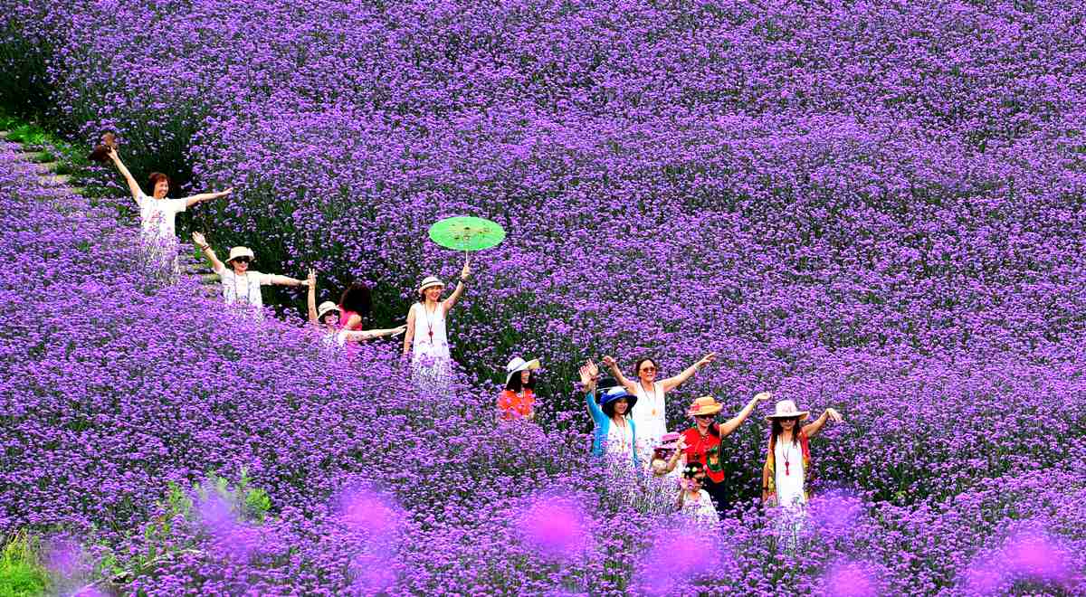 杉坪景區。張金文攝