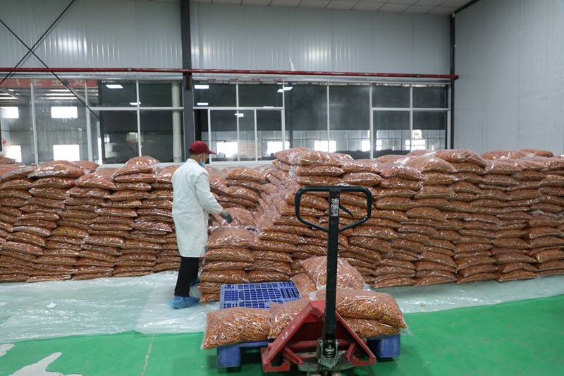 田間種出“金南瓜”，產業振興群眾 夸