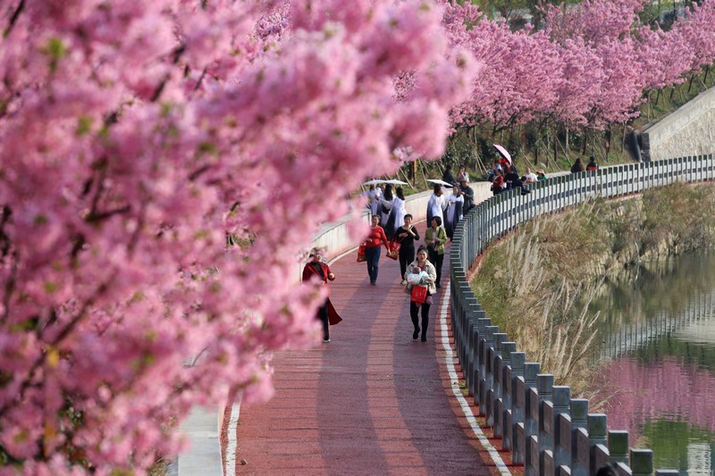 4.錦屏縣的濱江健身步道。貴州省衛生健康委員會供圖