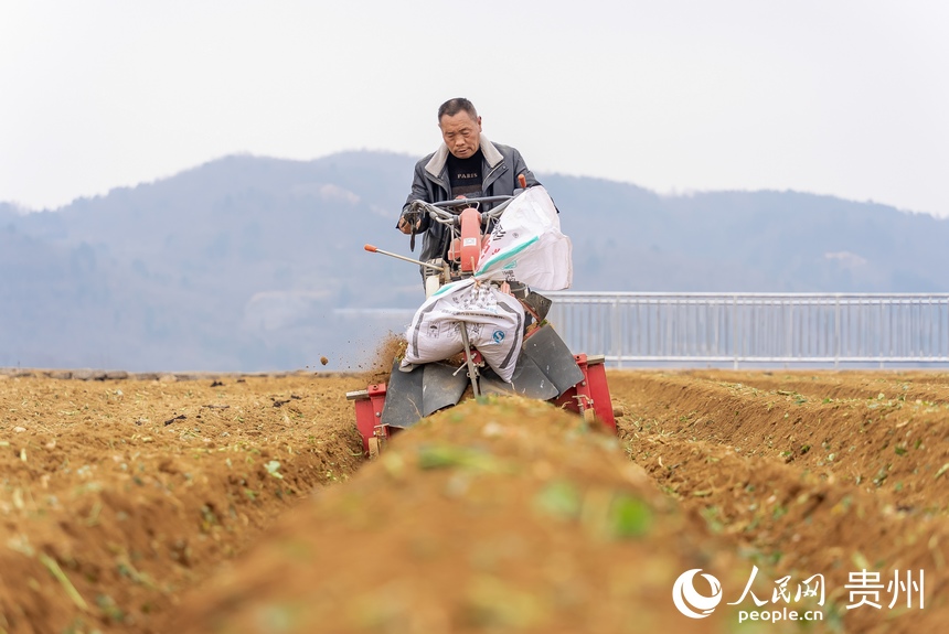 村民使用小型農機翻田、起壟。人民網 涂敏攝