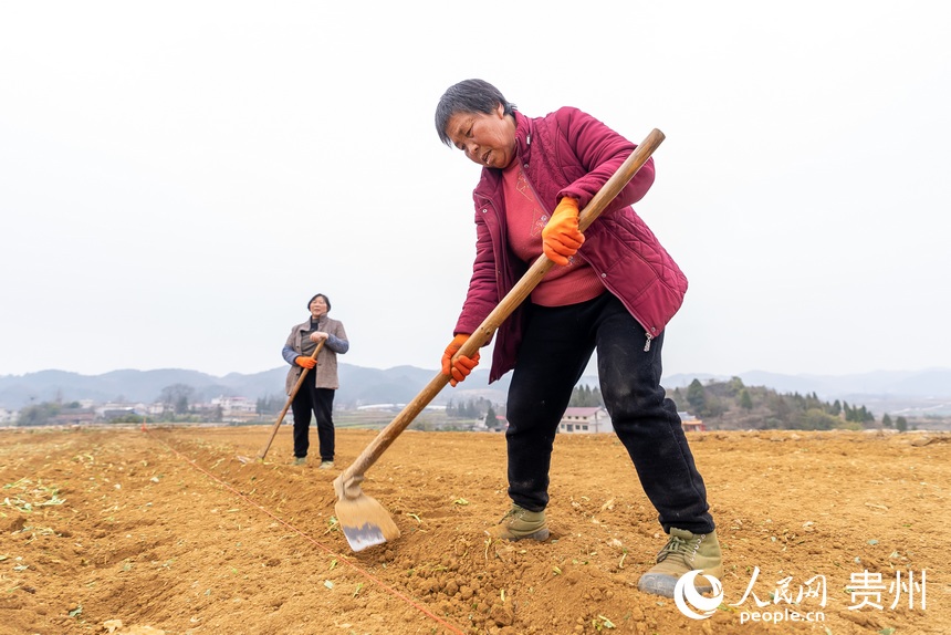 村民正在整理土地。人民網 涂敏攝