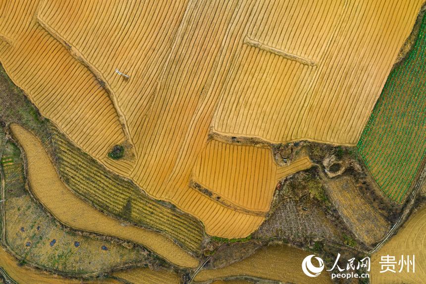 航拍整理后的土地。人民網(wǎng) 涂敏攝