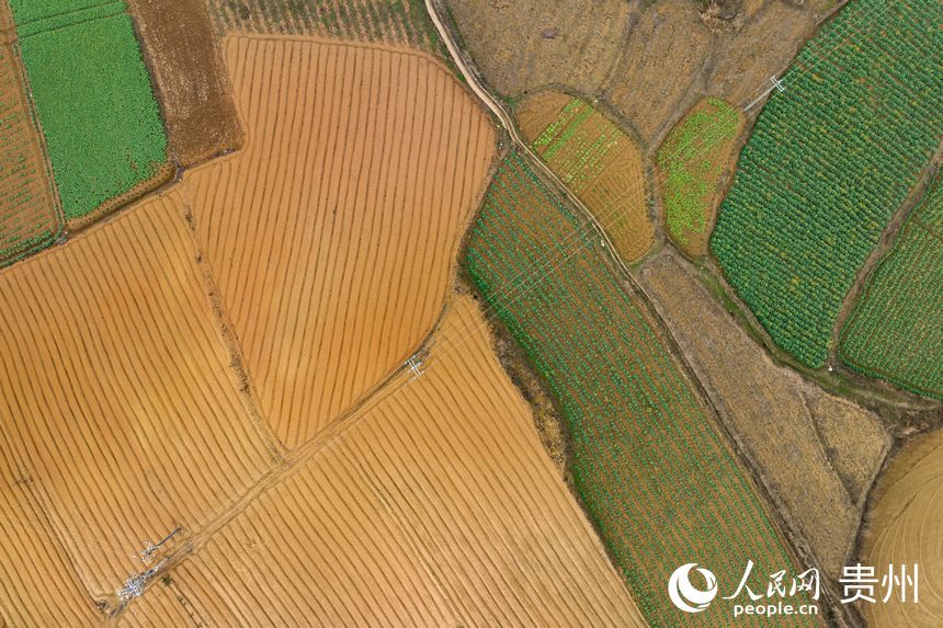 航拍整理后的土地。人民網 涂敏攝