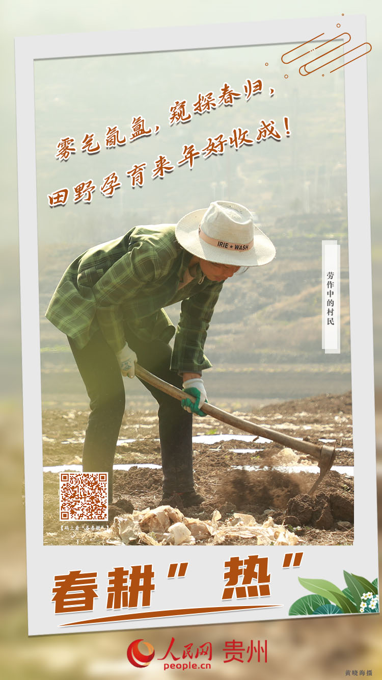 霧氣氤氳，窺探春歸，田野孕育來年好收成！