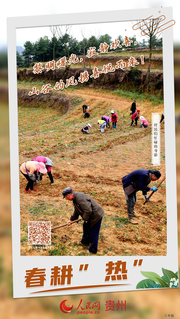 黎明曙光，寂靜歡喜，山谷的風攜喜悅而來！