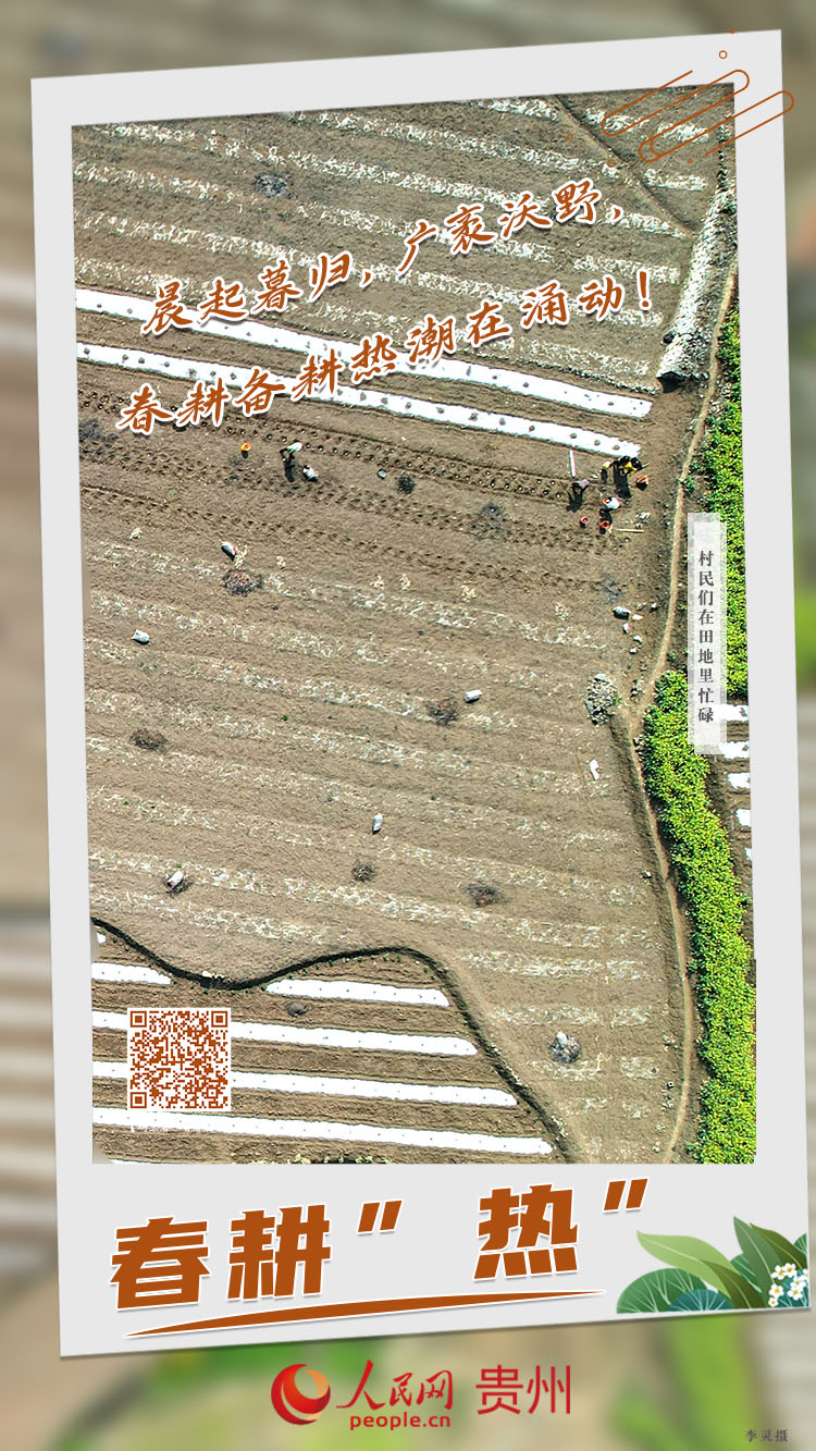 晨起暮歸，廣袤沃野，春耕備耕熱潮在涌動！