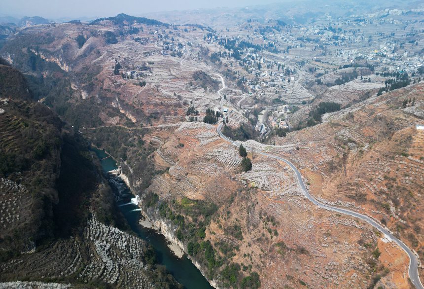 2月27日，貴州省大方縣貓場鎮(zhèn)櫻桃種植基地航拍。何志剛攝