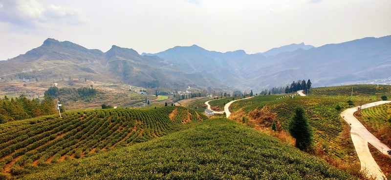 “白葉一號”基地一角。 多彩貴州網(wǎng)供圖.jpg