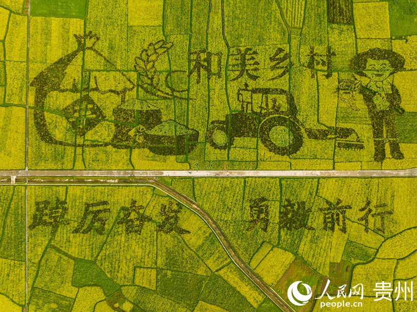 司前壩區打造的花田畫。人民網 陽茜攝