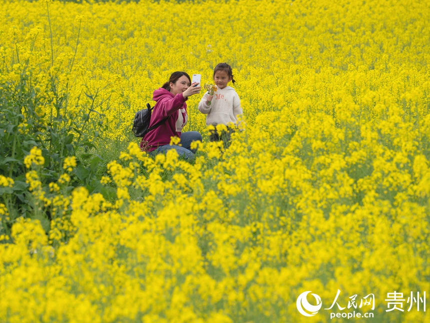 游客駐足于花海中與油菜花合影留念。人民網 陽茜攝