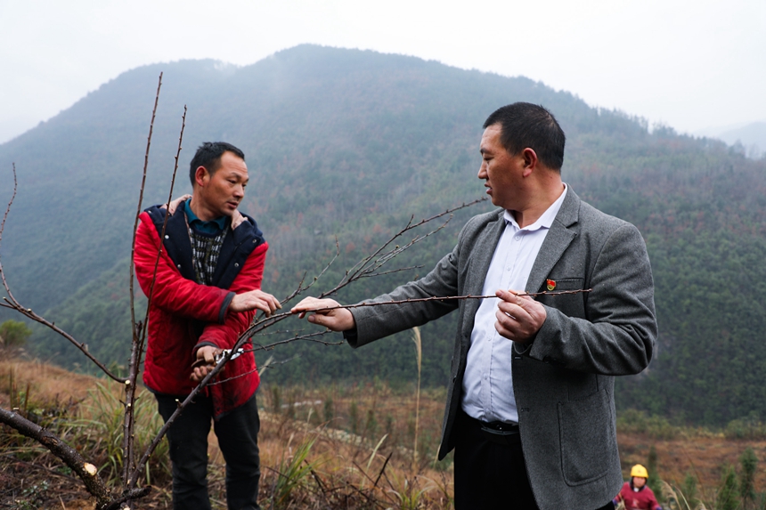 全國(guó)人大代表，貴州省石阡縣龍?zhí)伶?zhèn)困牛山村黨支部書記、村委會(huì)主任鞠華國(guó)（右）與群眾交流果園管護(hù)。楊葉攝