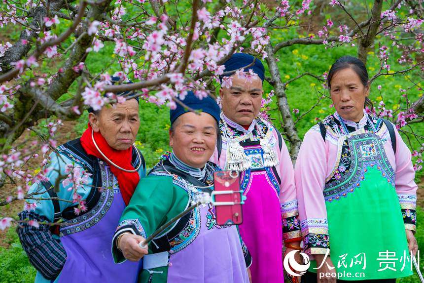 游客在桃花林中賞花拍照。人民網 陽茜攝