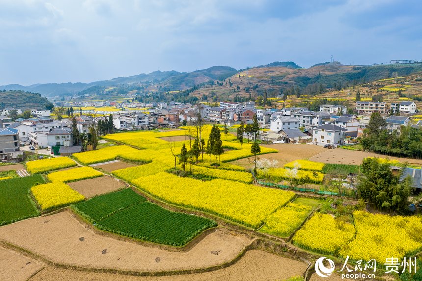 航拍如詩如畫的貴州省遵義市桐梓縣官倉鎮。 人民網 涂敏攝
