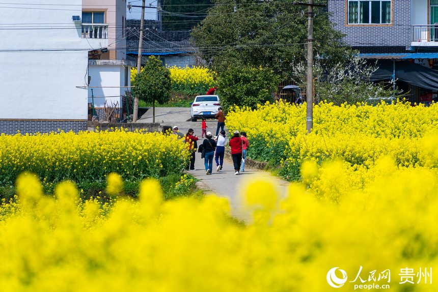 穿行在花田中的游客。人民網 涂敏攝