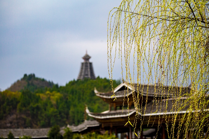 春意盎然的凱里民族文化園(姚祖銀 攝)