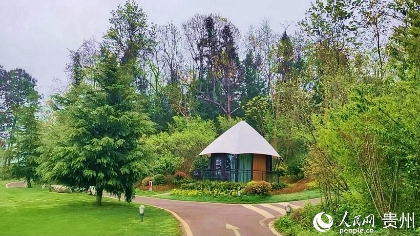 民宿客房零星散落于森林之間、草坪之上。人民網 李永馨攝