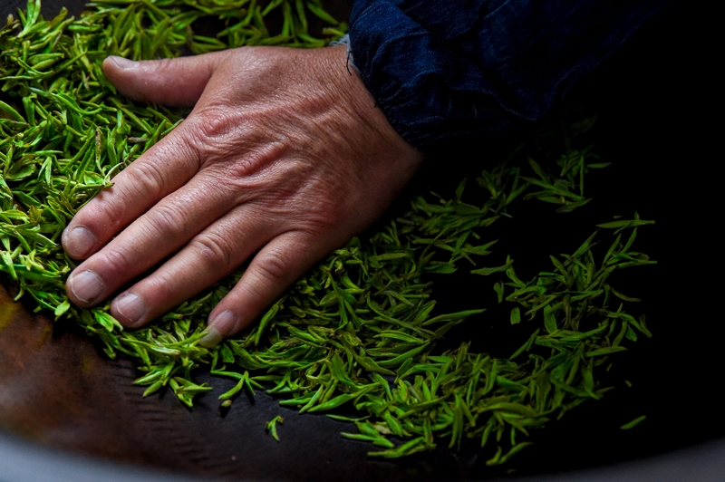 手工炒茶。林劍攝