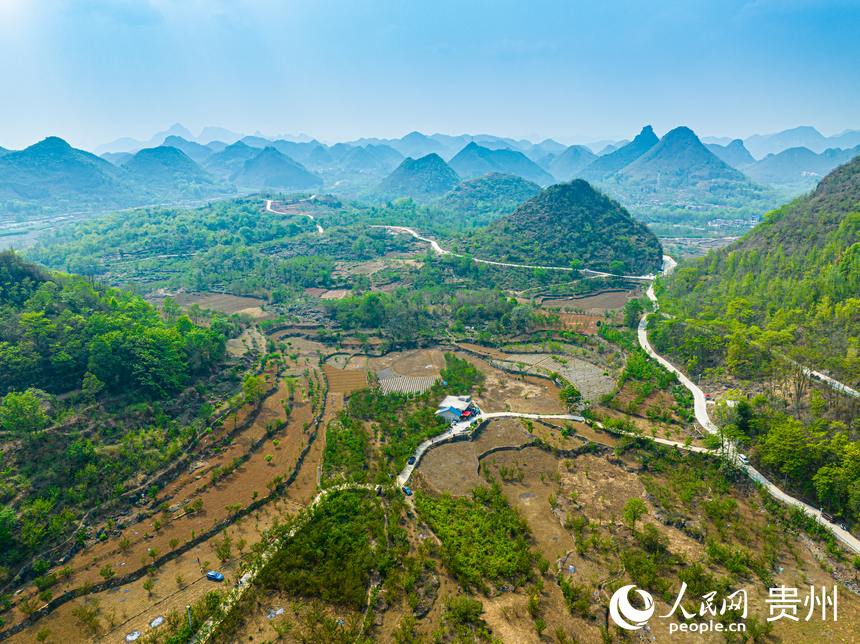 茂良村現(xiàn)有櫻桃樹(shù)6000余畝。人民網(wǎng) 陽(yáng)茜攝