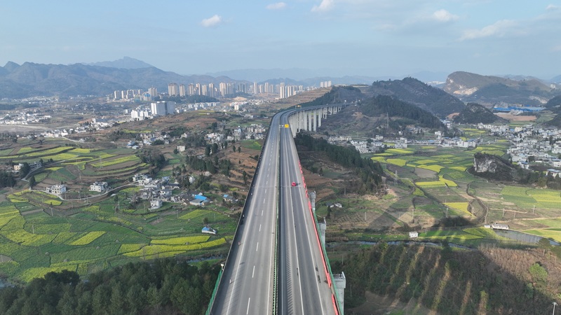 春日時節(jié)的金沙特大橋。陳雪攝