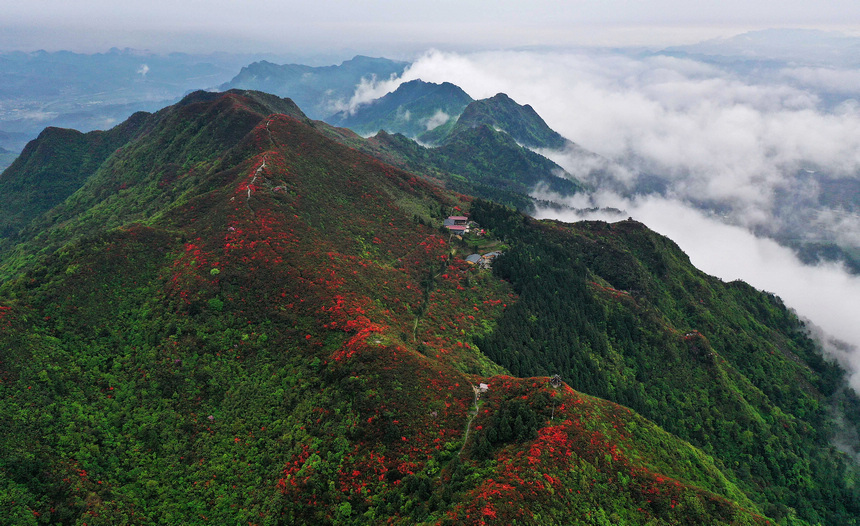 雨后云霧中的丹寨縣龍泉山景色（無人機照片）。