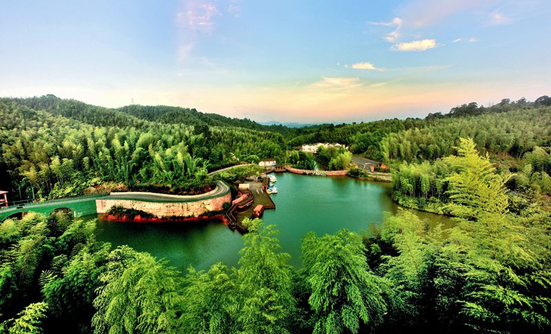 赤水竹海國家森林公園。王茂祥 攝