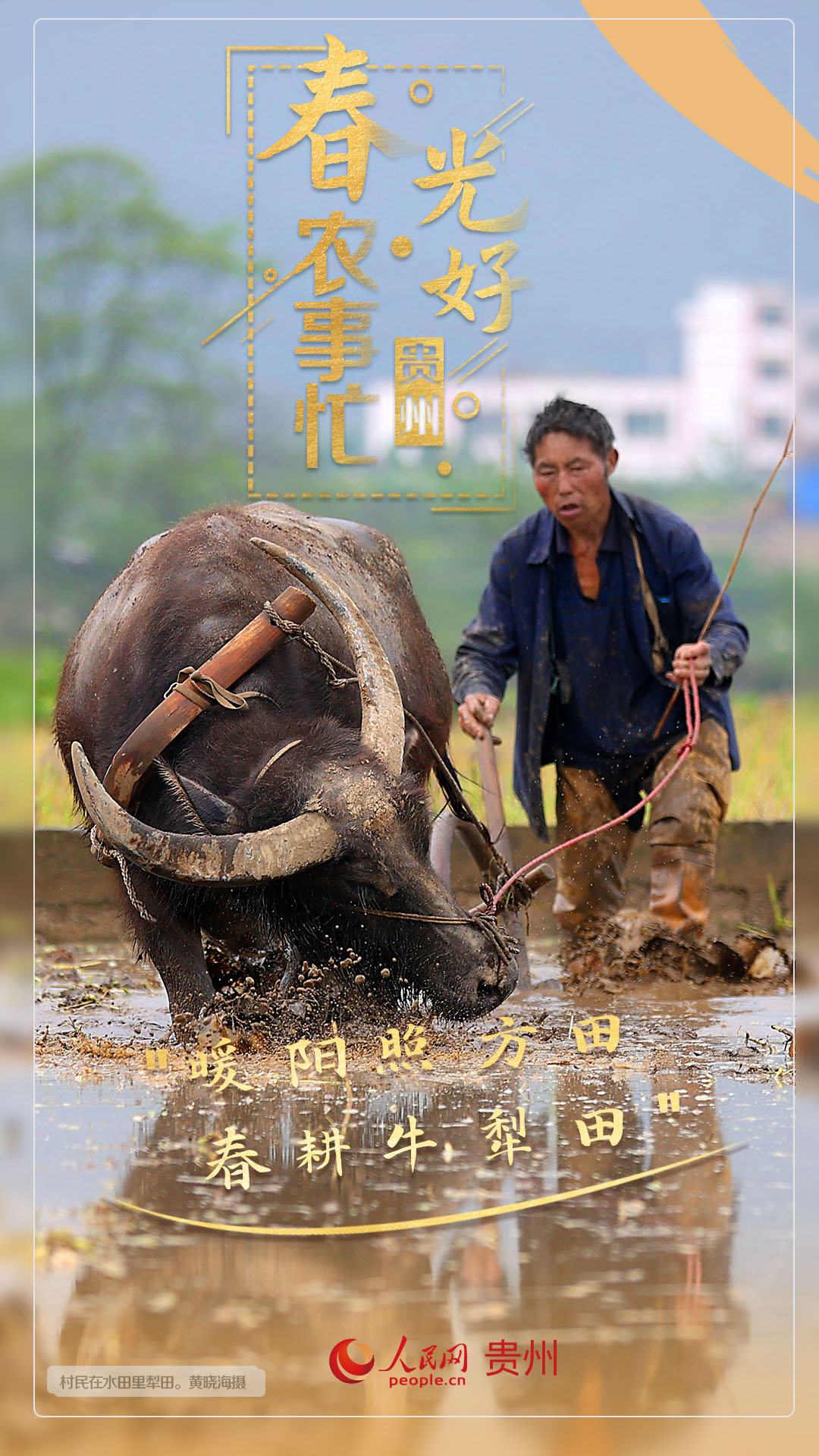 “暖陽照方田 春耕牛犁田”。