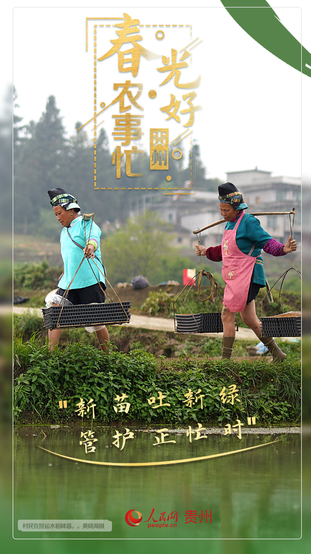 “新苗吐新綠 管護(hù)正忙時(shí)”。