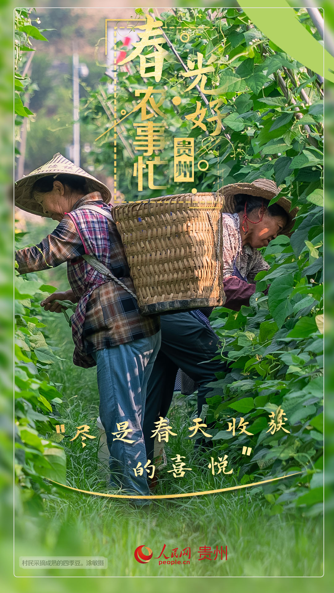 “盡是春天收獲的喜悅”。