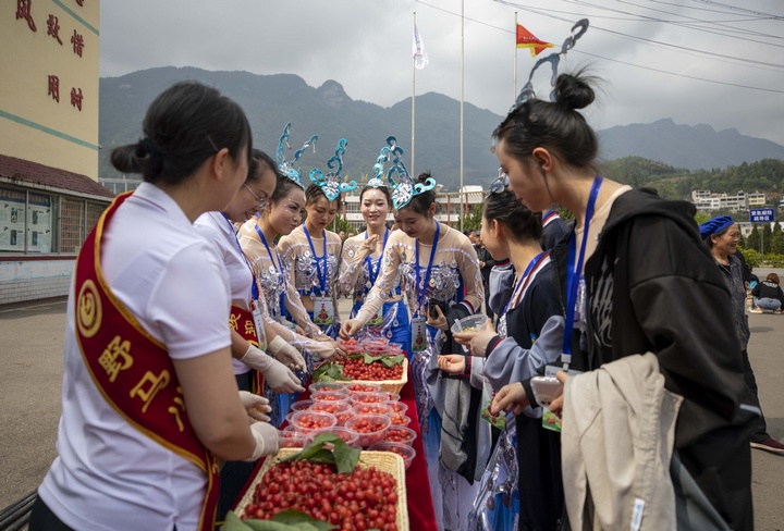 游客品嘗櫻桃。
