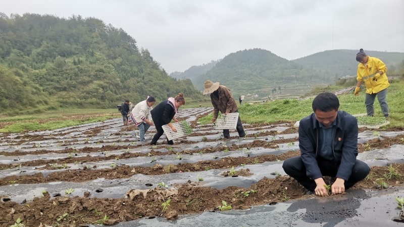 黨員干部到場指導。