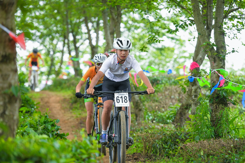 比賽現(xiàn)場。主辦方供圖