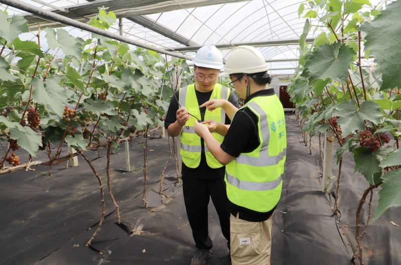 5 圖為實現大棚內自動控制葡萄生長恒定環境,全面提升產業園區生產管理數字化。.jpg