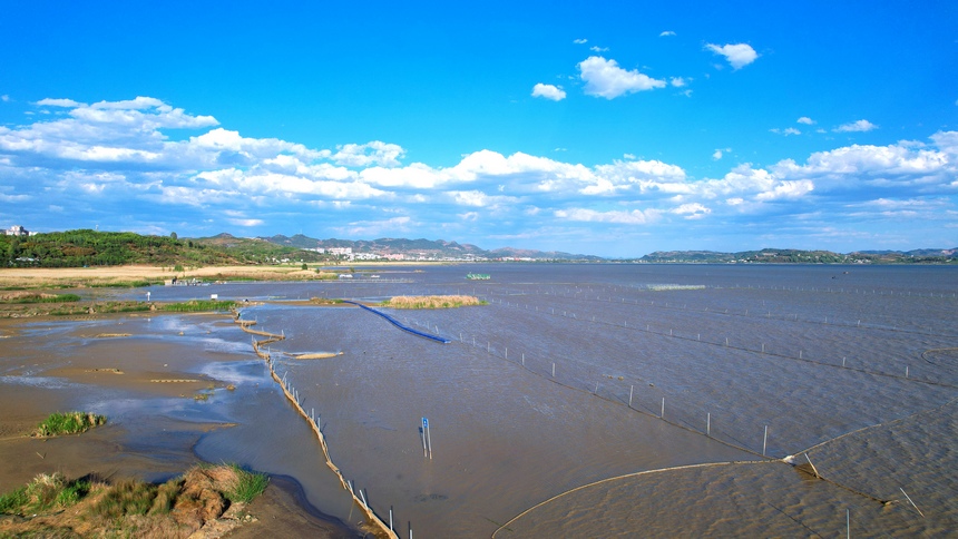 貴州草海國家級自然保護區。王近松攝